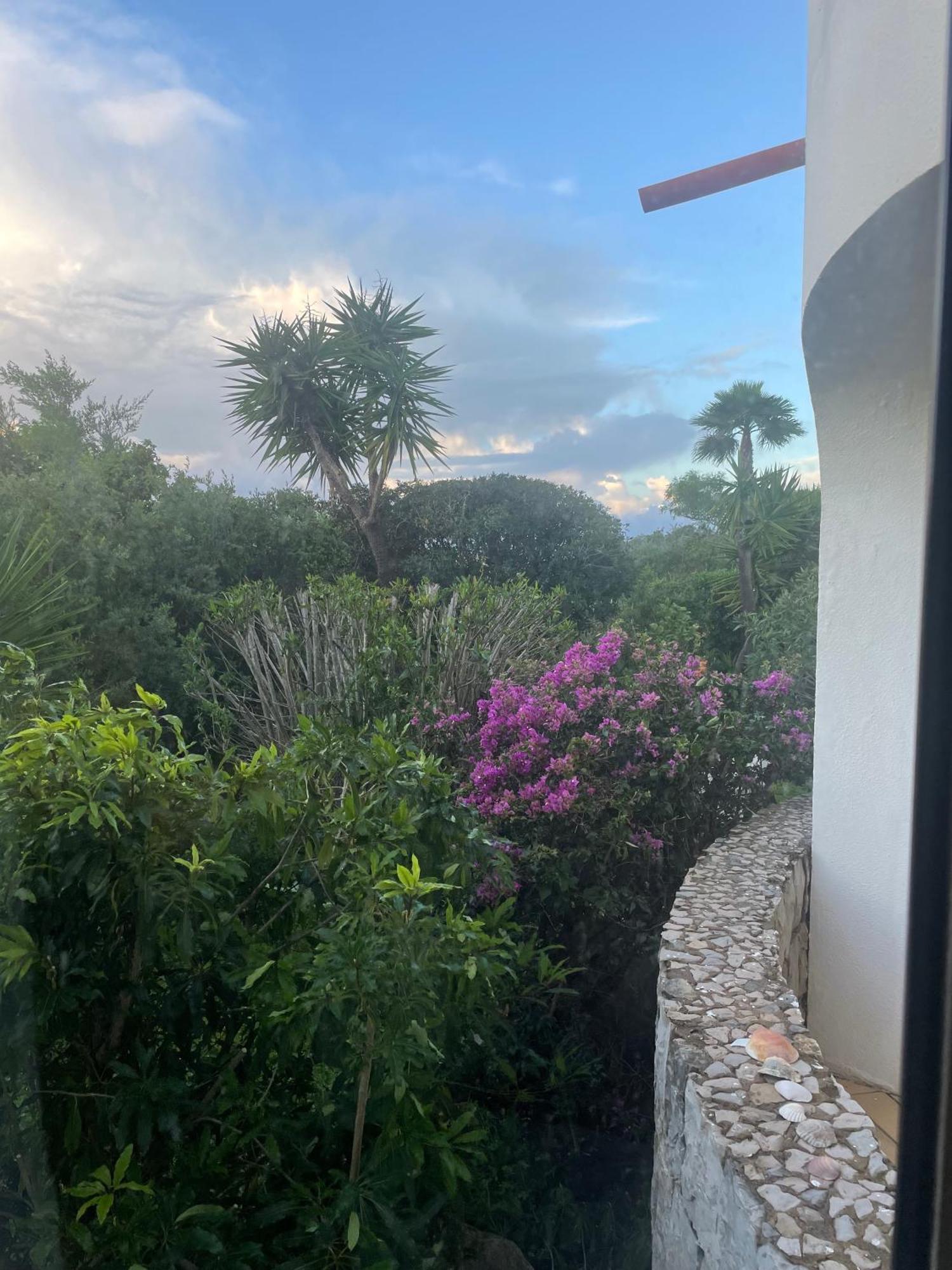 Holiday home Casa Carvoeiro
